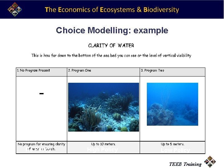 Choice Modelling: example No Policy High Policy Low Policy TEEB Training 