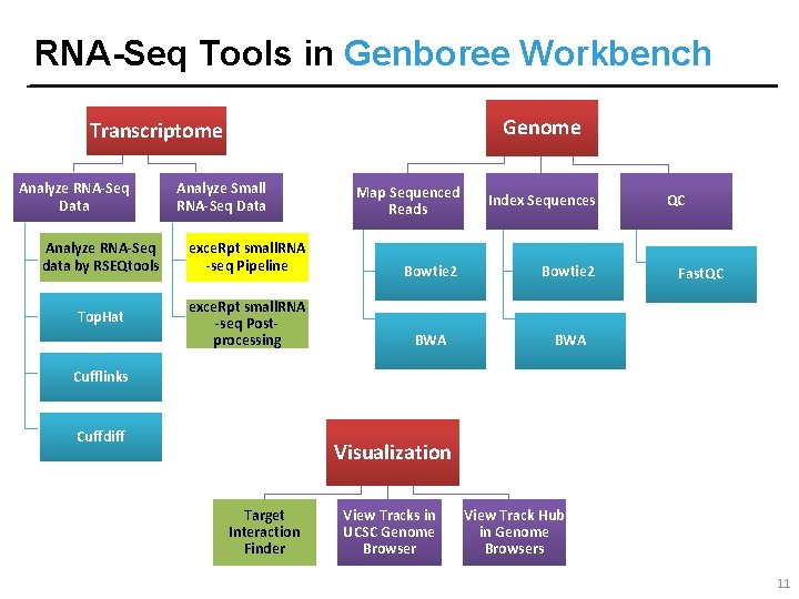 RNA-Seq Tools in Genboree Workbench Genome Transcriptome Analyze RNA-Seq Data Analyze Small RNA-Seq Data