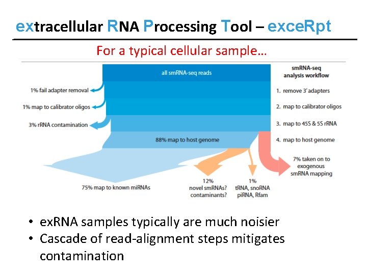 extracellular RNA Processing Tool – exce. Rpt For a typical cellular sample… • ex.