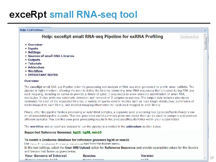 exce. Rpt small RNA-seq tool 17 