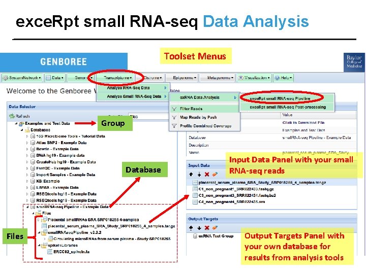 exce. Rpt small RNA-seq Data Analysis Toolset Menus Group Database Files Input Data Panel