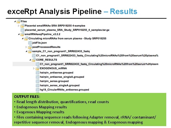 exce. Rpt Analysis Pipeline – Results OUTPUT FILES: • Read length distribution, quantifications, read