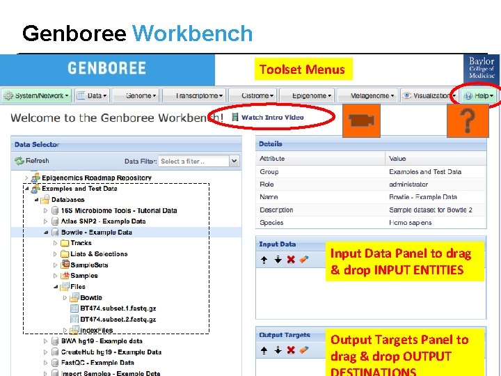 Genboree Workbench Toolset Menus Input Data Panel to drag & drop INPUT ENTITIES Output