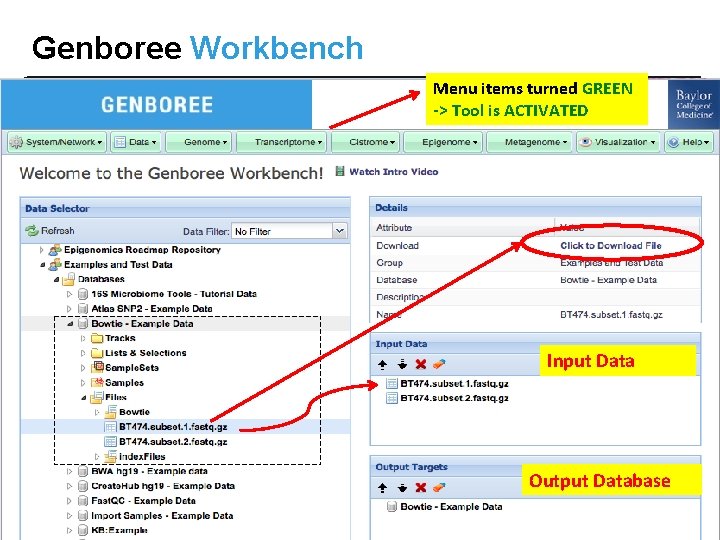 Genboree Workbench Menu items turned GREEN -> Tool is ACTIVATED Input Data Output Database