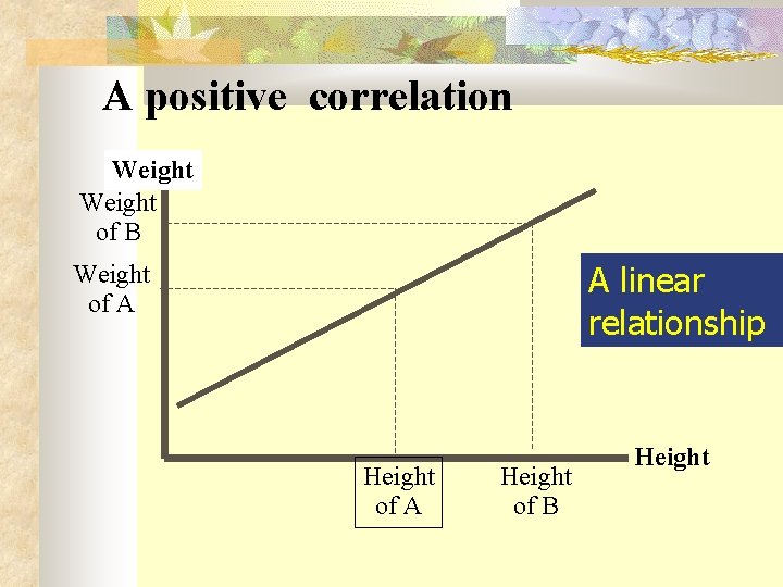 A positive correlation Weight of B A linear relationship Weight of A Height of