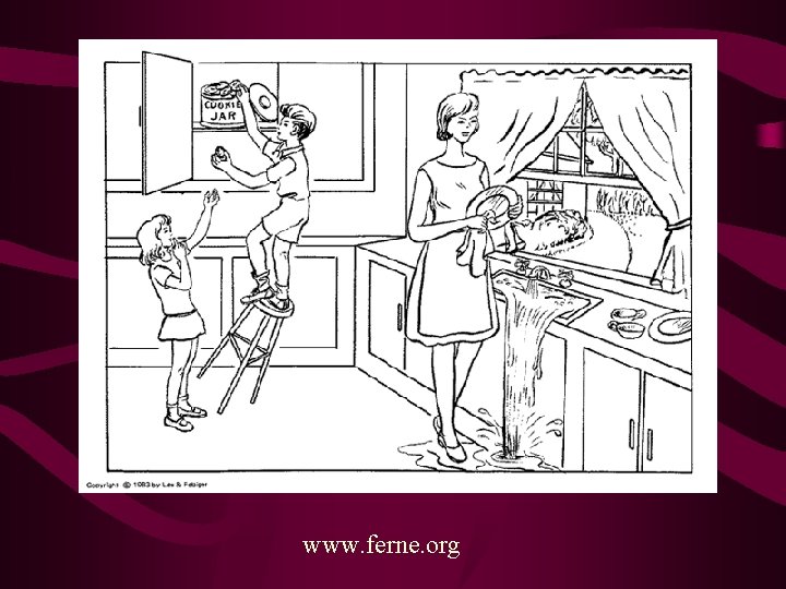 www. ferne. org 