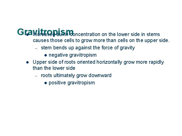 Gravitropism l Increased auxin concentration on the lower side in stems l causes those