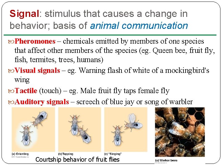 Signal: stimulus that causes a change in behavior; basis of animal communication Pheromones –