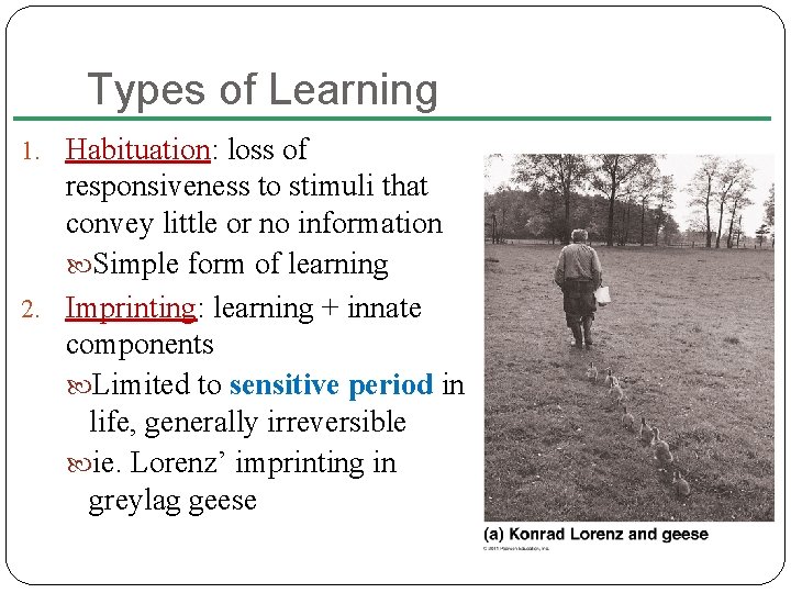 Types of Learning 1. Habituation: loss of responsiveness to stimuli that convey little or