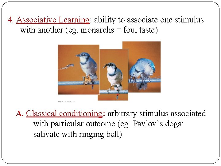 4. Associative Learning: ability to associate one stimulus with another (eg. monarchs = foul
