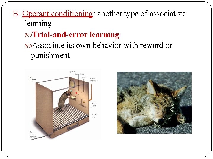 B. Operant conditioning: another type of associative learning Trial-and-error learning Associate its own behavior