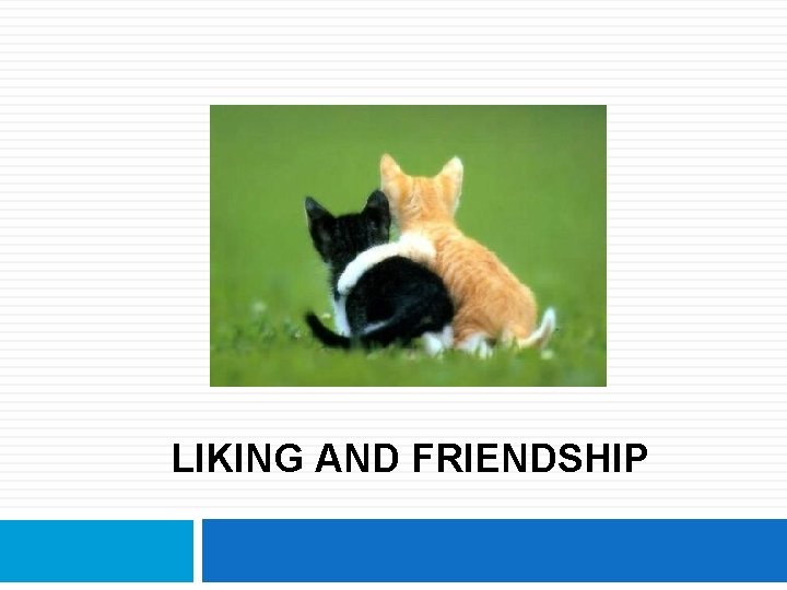 LIKING AND FRIENDSHIP 