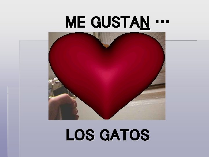 ME GUSTAN … LOS GATOS 