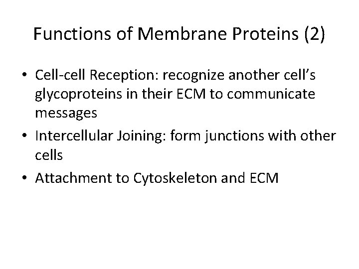 Functions of Membrane Proteins (2) • Cell-cell Reception: recognize another cell’s glycoproteins in their