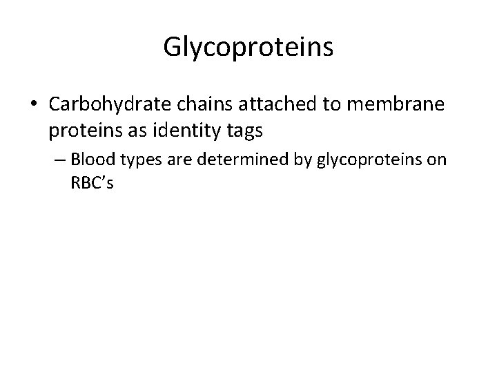 Glycoproteins • Carbohydrate chains attached to membrane proteins as identity tags – Blood types