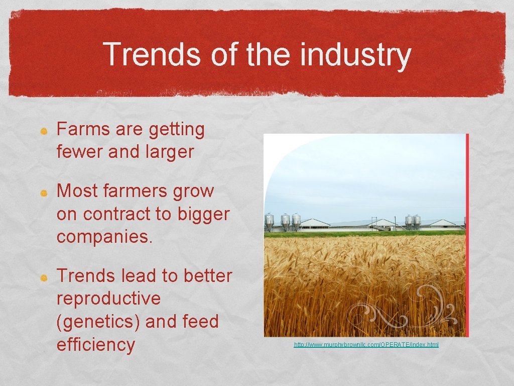 Trends of the industry Farms are getting fewer and larger Most farmers grow on