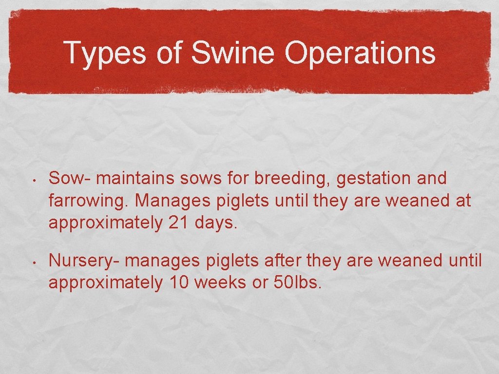 Types of Swine Operations • • Sow- maintains sows for breeding, gestation and farrowing.