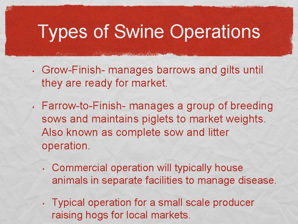 Types of Swine Operations • • Grow-Finish- manages barrows and gilts until they are