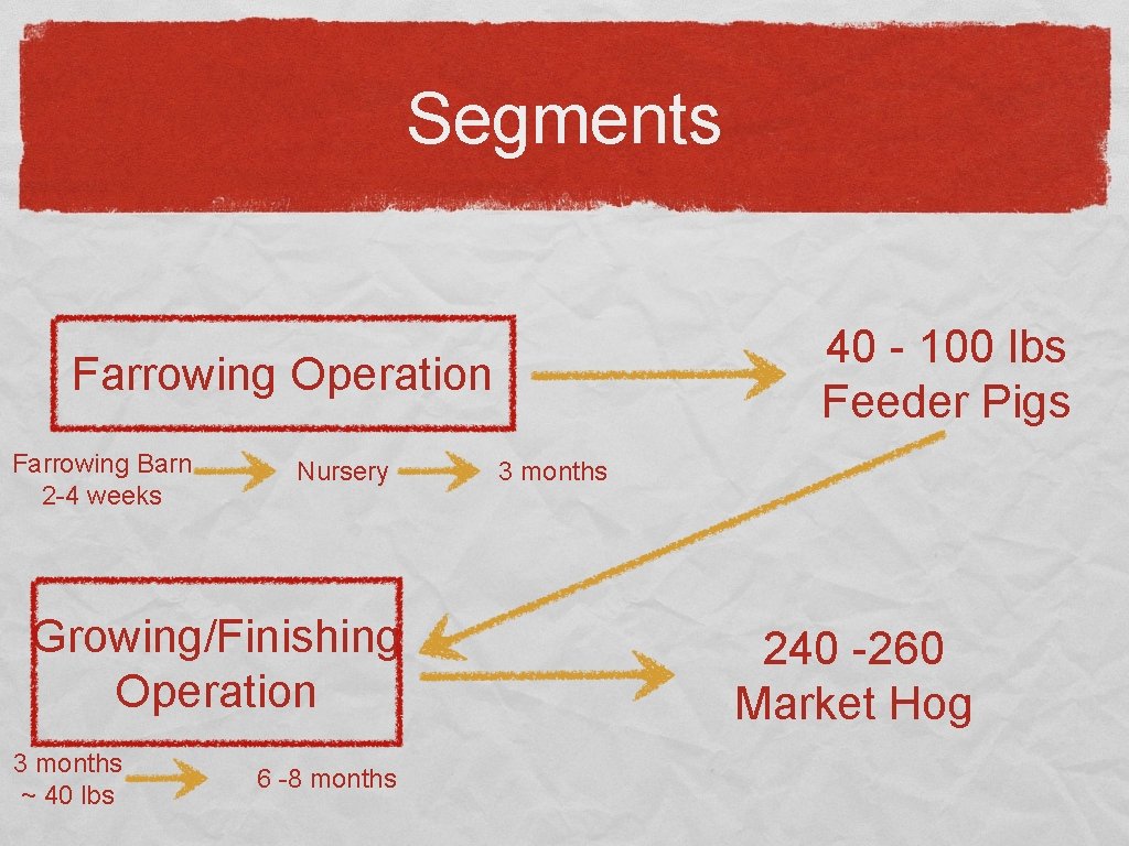 Segments 40 - 100 lbs Feeder Pigs Farrowing Operation Farrowing Barn 2 -4 weeks