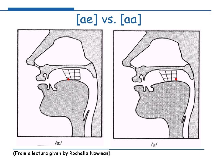 [ae] vs. [aa] (From a lecture given by Rochelle Newman) 