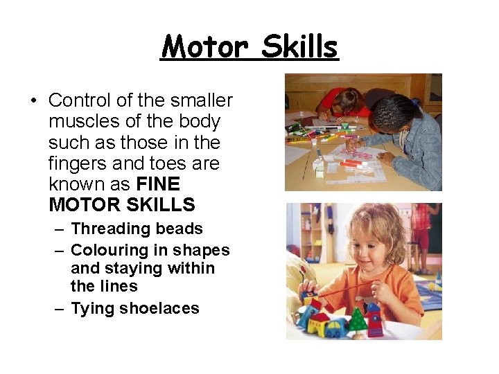 Motor Skills • Control of the smaller muscles of the body such as those
