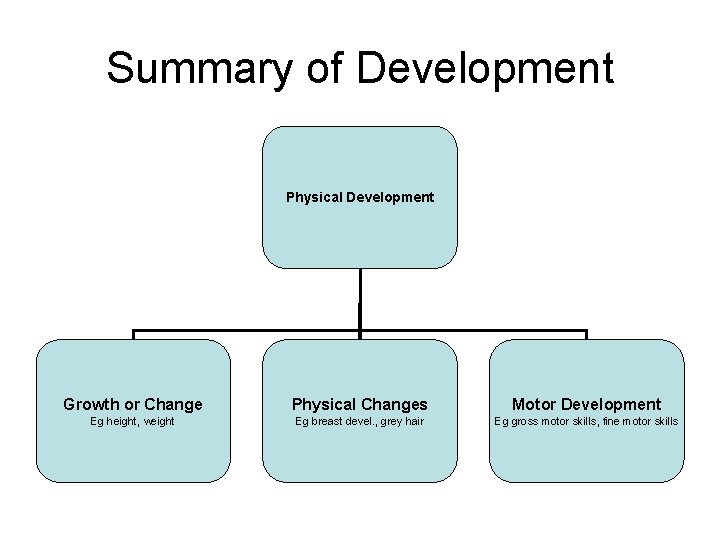 Summary of Development Physical Development Growth or Change Physical Changes Motor Development Eg height,