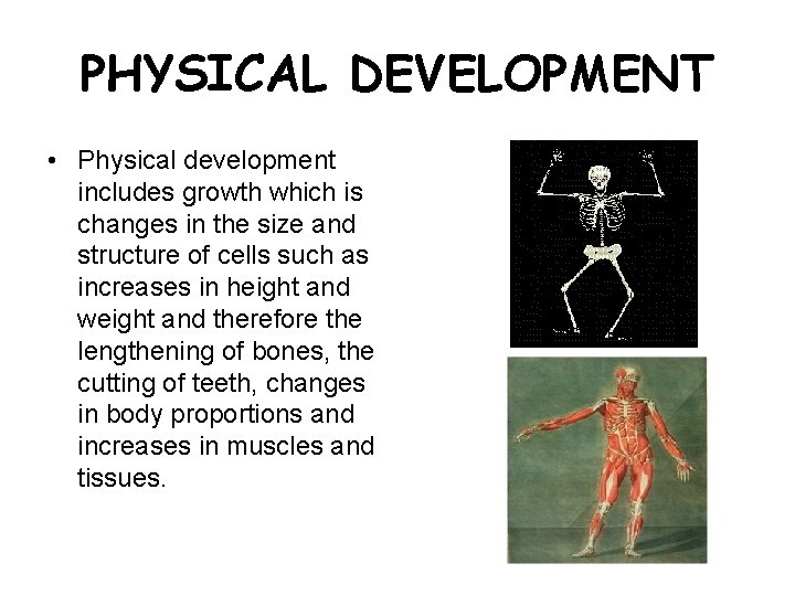 PHYSICAL DEVELOPMENT • Physical development includes growth which is changes in the size and
