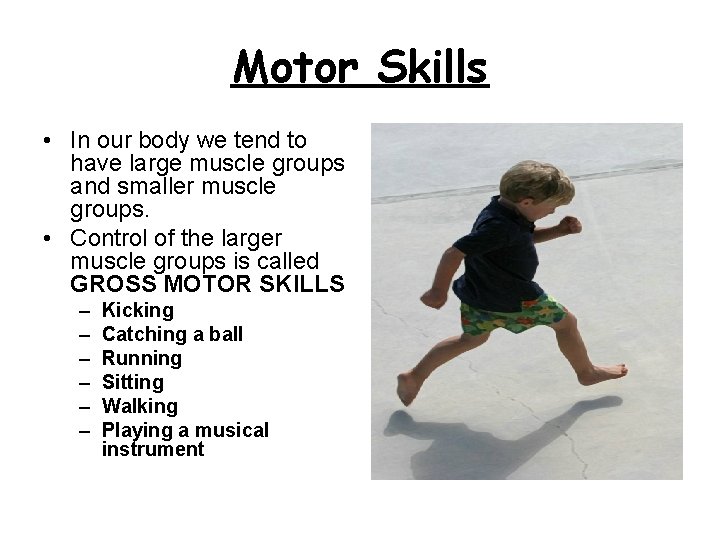 Motor Skills • In our body we tend to have large muscle groups and