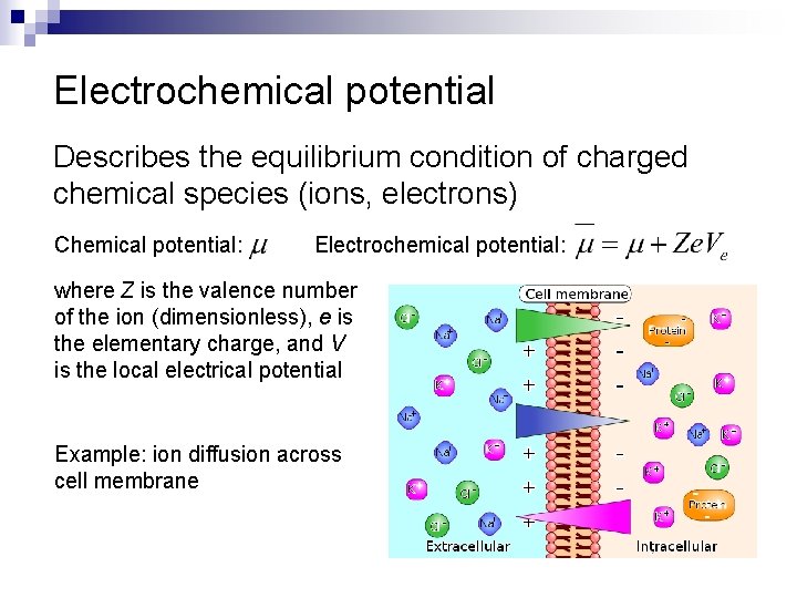 Electrochemical potential Describes the equilibrium condition of charged chemical species (ions, electrons) Chemical potential: