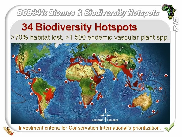 34 Biodiversity Hotspots >70% habitat lost, >1 500 endemic vascular plant spp. Investment criteria