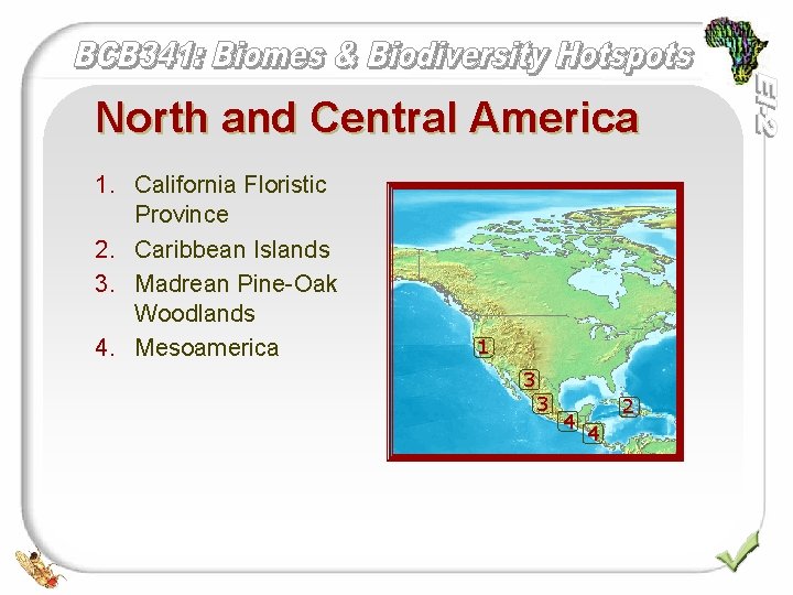 North and Central America 1. California Floristic Province 2. Caribbean Islands 3. Madrean Pine-Oak