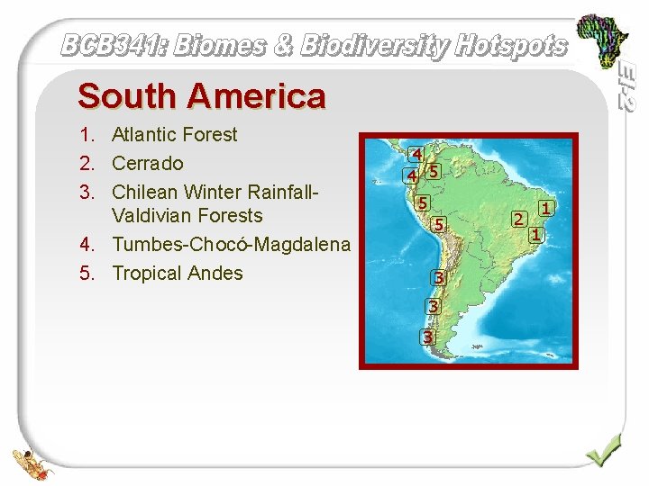 South America 1. Atlantic Forest 2. Cerrado 3. Chilean Winter Rainfall. Valdivian Forests 4.