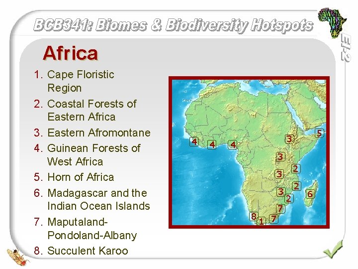 Africa 1. Cape Floristic Region 2. Coastal Forests of Eastern Africa 3. Eastern Afromontane