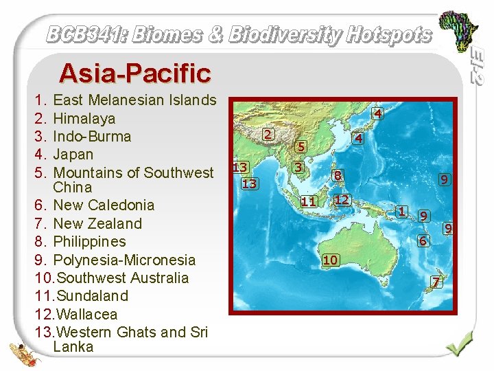 Asia-Pacific 1. 2. 3. 4. 5. East Melanesian Islands Himalaya Indo-Burma Japan Mountains of