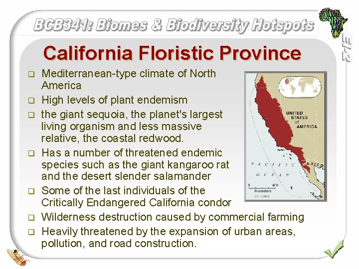 California Floristic Province q q q q Mediterranean-type climate of North America High levels