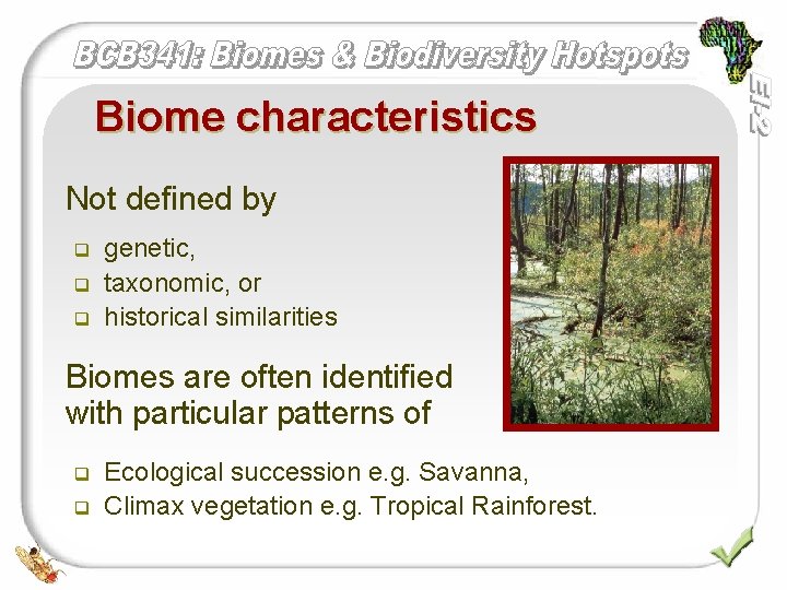 Biome characteristics Not defined by q q q genetic, taxonomic, or historical similarities Biomes