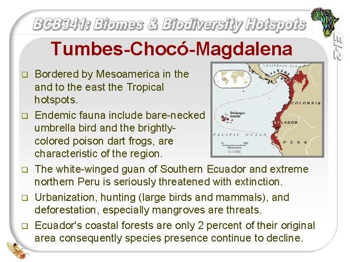 Tumbes-Chocó-Magdalena q q q Bordered by Mesoamerica in the north, and to the east