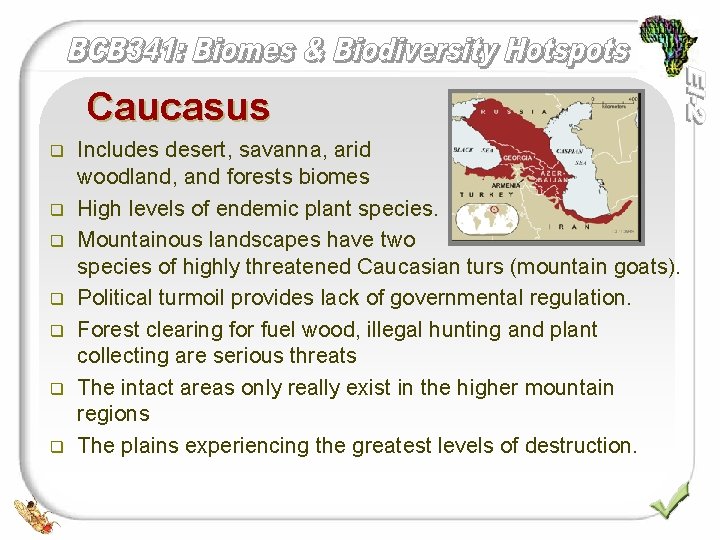 Caucasus q q q q Includes desert, savanna, arid woodland, and forests biomes High
