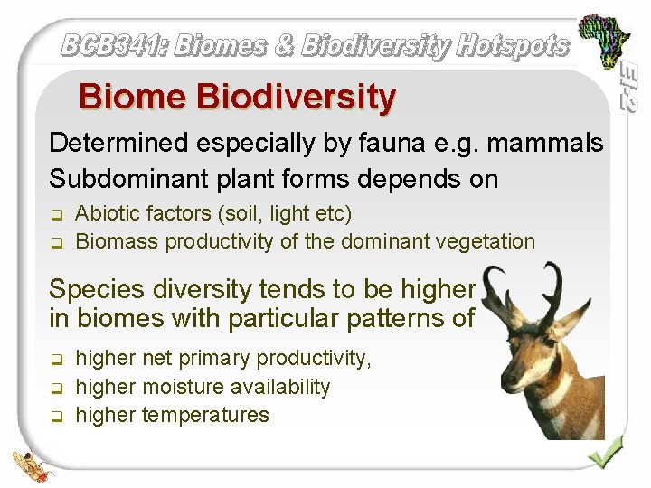 Biome Biodiversity Determined especially by fauna e. g. mammals Subdominant plant forms depends on