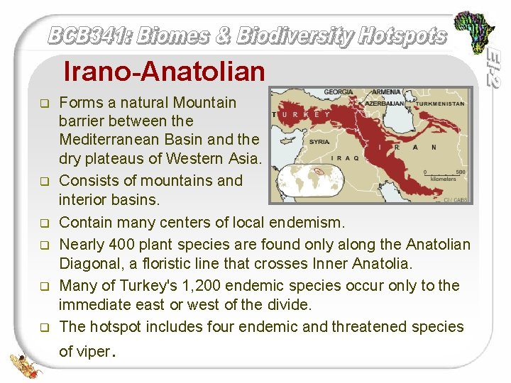 Irano-Anatolian q q q Forms a natural Mountain barrier between the Mediterranean Basin and