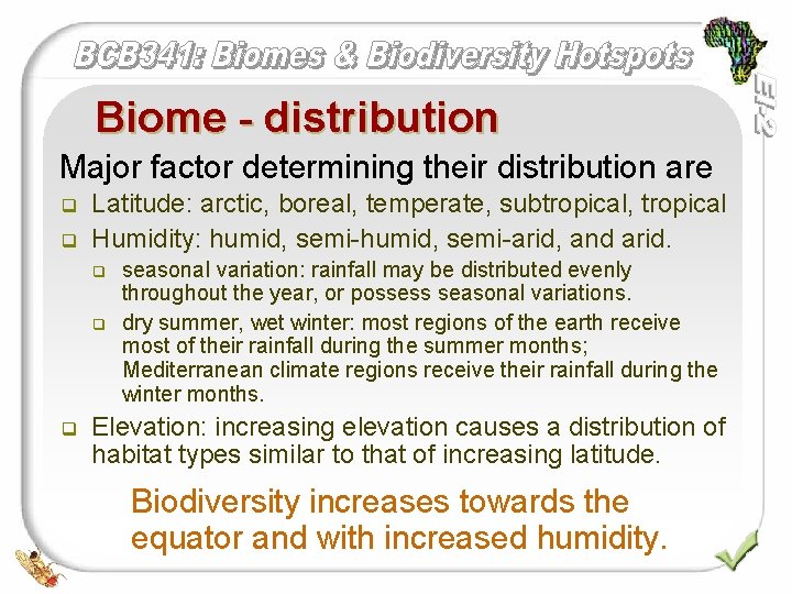 Biome - distribution Major factor determining their distribution are q q Latitude: arctic, boreal,