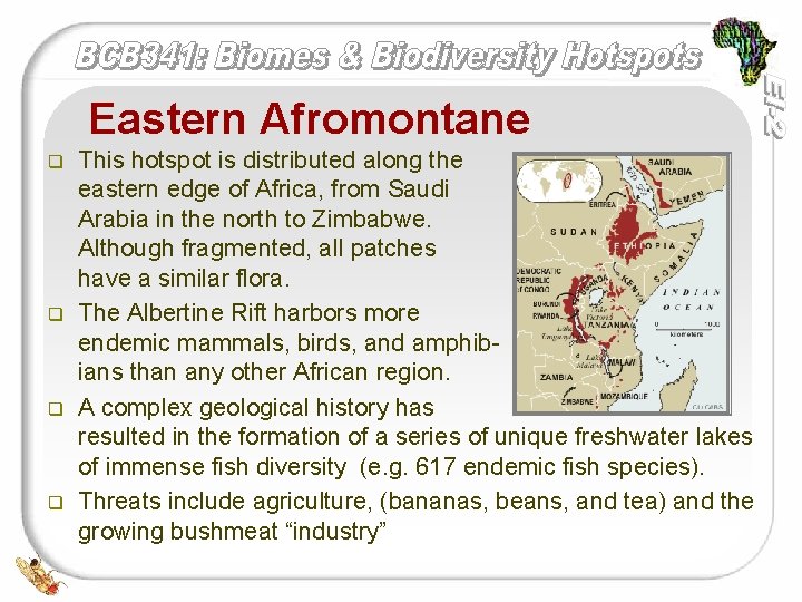 Eastern Afromontane q q This hotspot is distributed along the eastern edge of Africa,