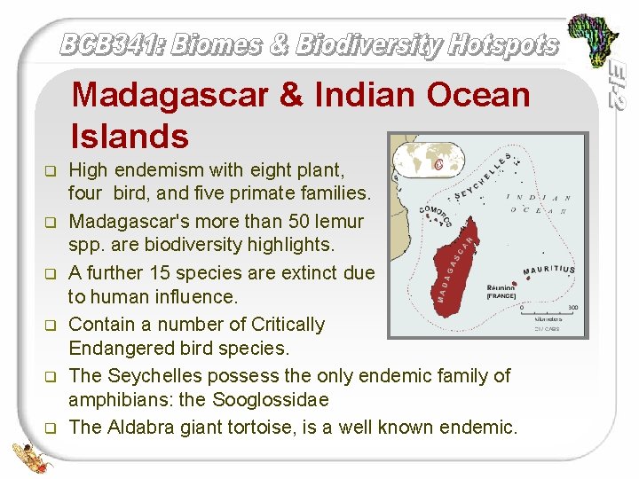 Madagascar & Indian Ocean Islands q q q High endemism with eight plant, four