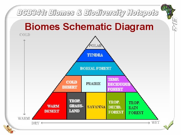 Biomes Schematic Diagram 