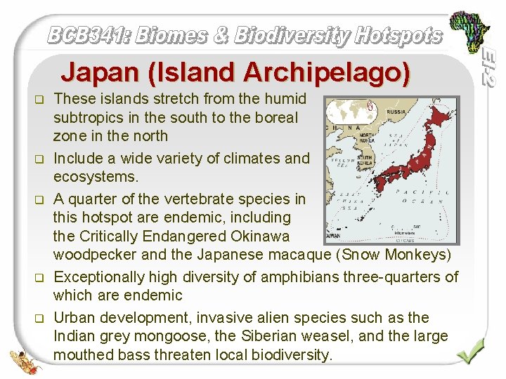 Japan (Island Archipelago) q q q These islands stretch from the humid subtropics in