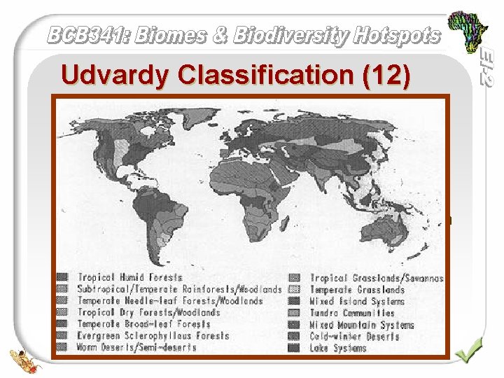 Udvardy Classification (12) q q q Tropical humid forests Subtropical and temperate rainforests or