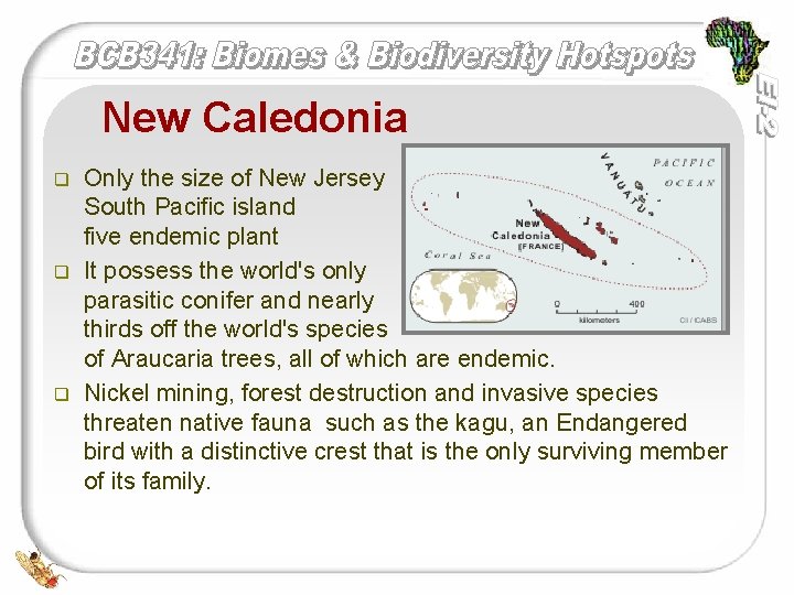 New Caledonia q q q Only the size of New Jersey this South Pacific