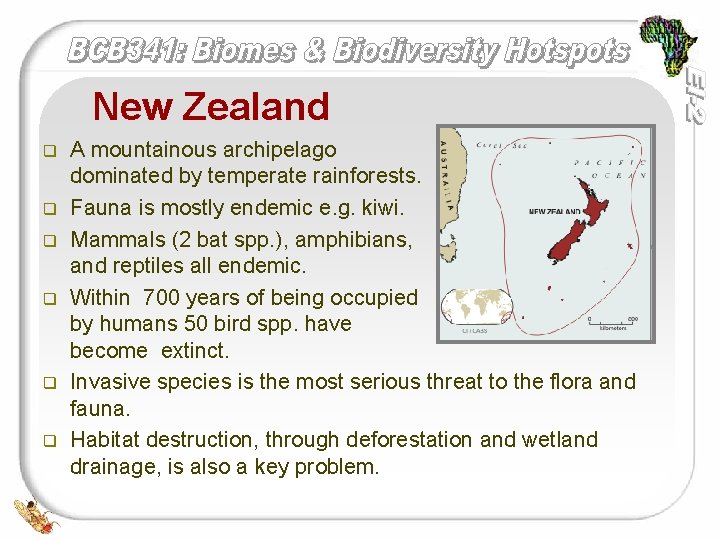 New Zealand q q q A mountainous archipelago dominated by temperate rainforests. Fauna is