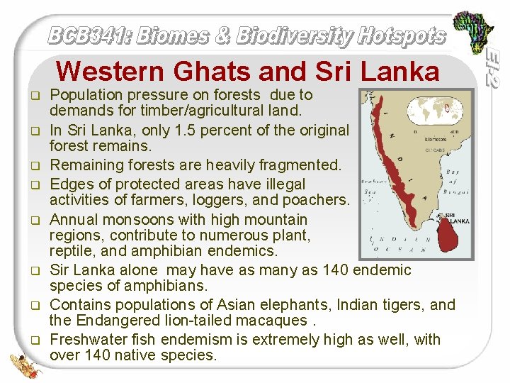 Western Ghats and Sri Lanka q q q q Population pressure on forests due