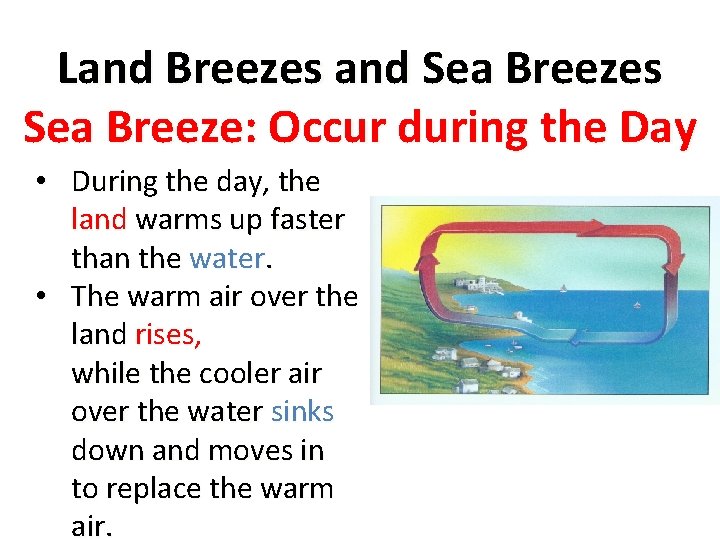 Land Breezes and Sea Breezes Sea Breeze: Occur during the Day • During the